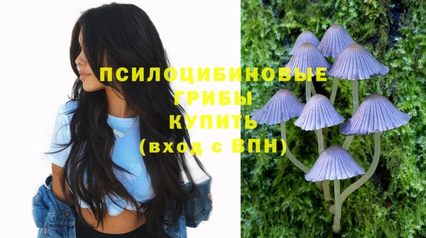 винт Балахна