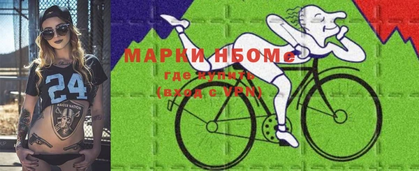сатива Коряжма